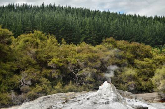 Rotorua - Wai-O-Tapu