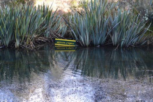 Milford Sound - Mirror Lake