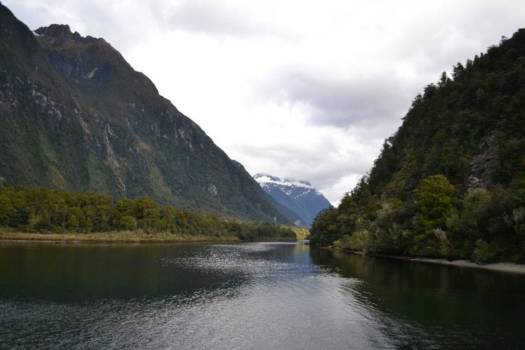 Milford Sound - Milford Sounds