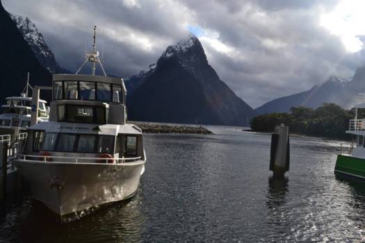 Milford Sound - Milford Sounds + Cruiseschip