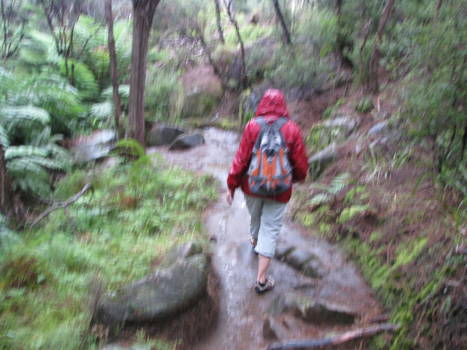 Abel Tasman National Park - Verregend wandelpad