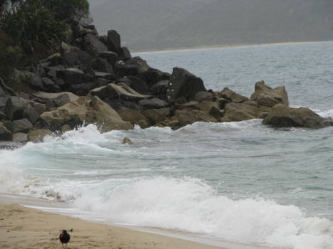 Abel Tasman National Park - Een strandje halverwege de wandeling