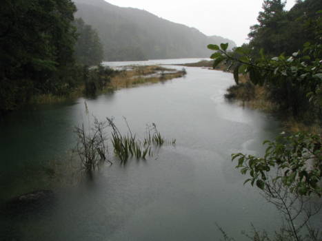 Abel Tasman National Park - Een doorkijkje