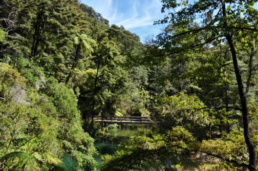 Abel Tasman National Park - Abel Tasman Coast Track