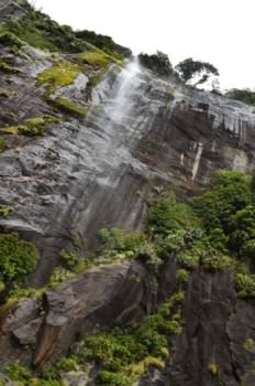 Milford Sound
