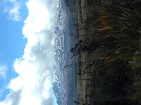 Noordereiland - Tongariro Nat'l Park