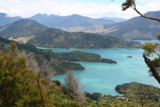 Zuidereiland - The Marlborough Sounds