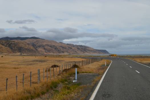 Noordereiland - Cape Palliser