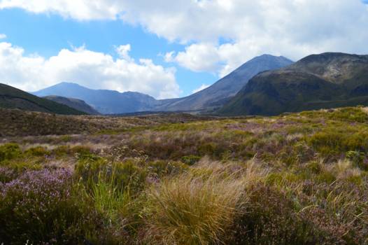 Noordereiland - Tongariro Crossing