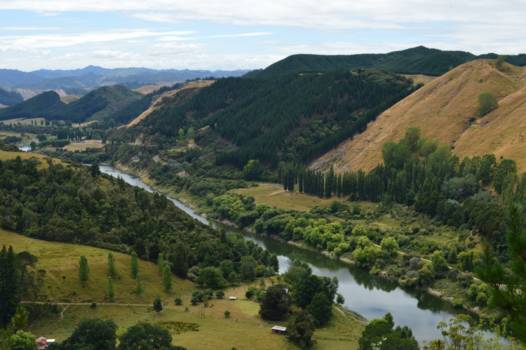 Noordereiland - Whanganui River Road