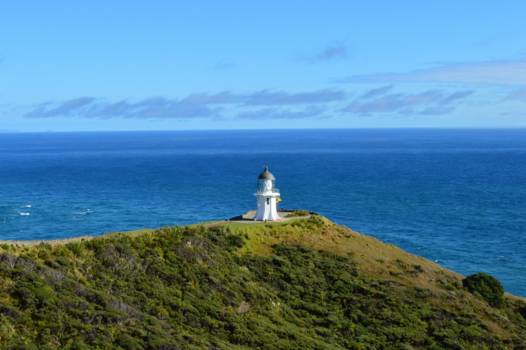 Noordereiland - Cape Reinga