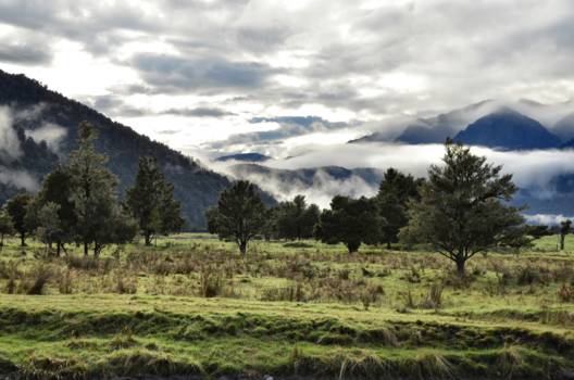 Lake Matheson - Lake Matheson