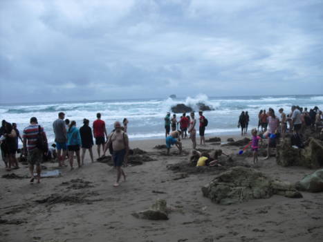 Coromandel Peninsula - Hot waterbeach