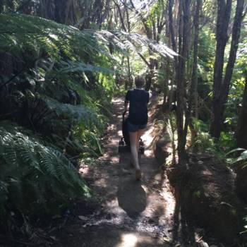 Abel Tasman National Park - Door de tropische bossen