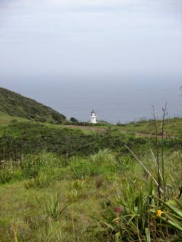 Noordereiland - Cape Reinga