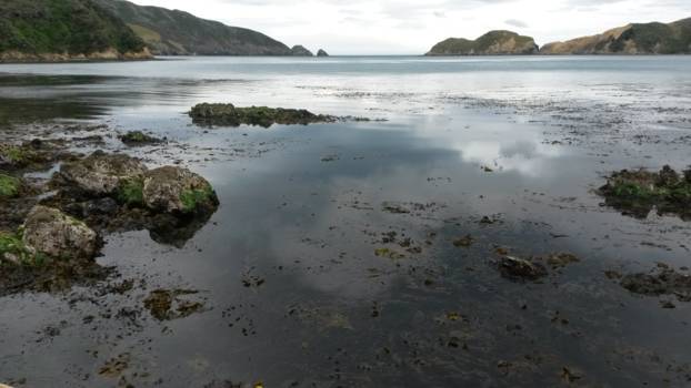 Zuidereiland - Marlborough sounds
