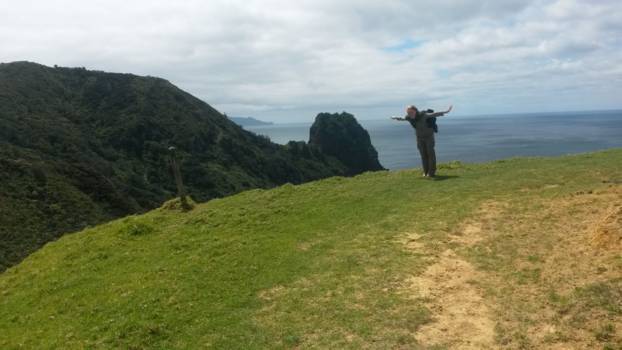 Zuidereiland - Coromandel