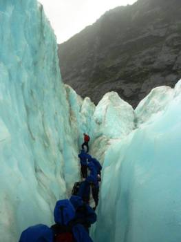 Franz Josef Glacier - De trekking naar de top van Franz Josef