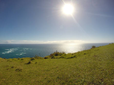 Nieuw-Zeeland - Lighthouse cape Reinga (noordelijkste punt NZ)