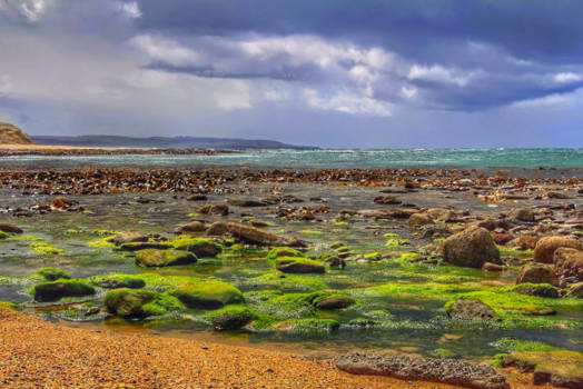Zuidereiland - Zwaar weer op komst in de Catlins.
