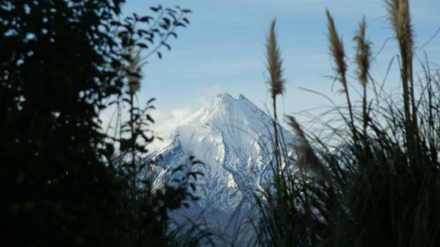 Mount Taranaki - Heimwee....