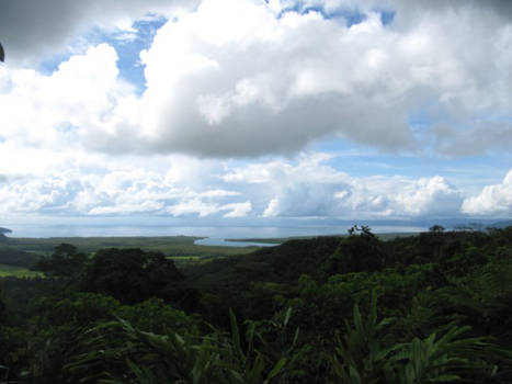 Zuidereiland - Cape Tribulation