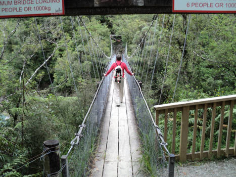 Zuidereiland - knikkende knieën brug