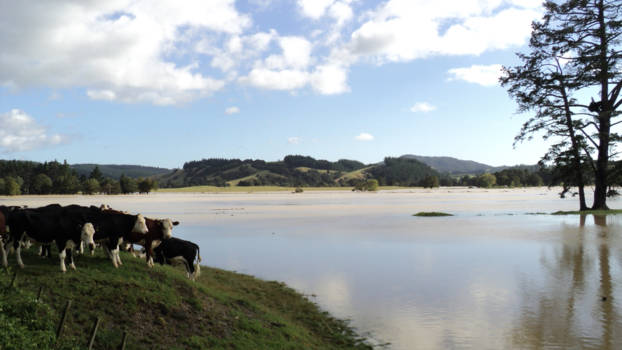 Noordereiland - the day after the cycloon