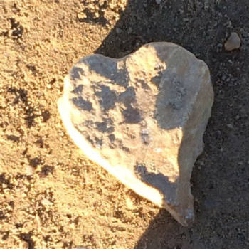 Wellington (Nieuw-Zeeland) - Love!