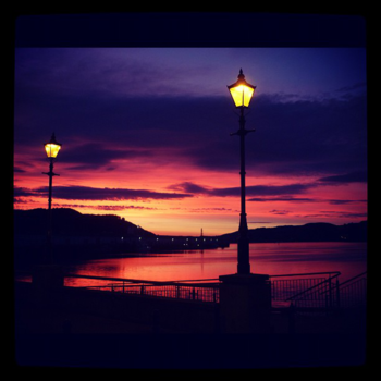 Dunedin - Overlooking Dunedin Harbor