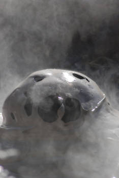 Noordereiland - Mudpool or ufo?