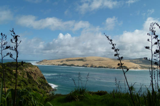 Noordereiland - Opononi zandduinen