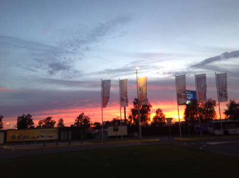 New Zealand International Arts Festival - Next homeland