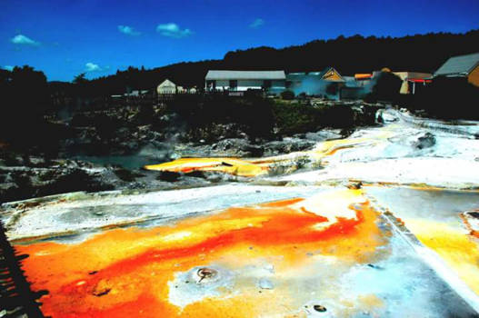 Rotorua - Champagne in Nieuw Zeeland