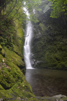 Kaikoura - Waterval vlakbij Kaikoura