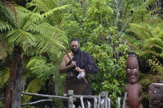 Tamaki Maori Village - Maori welkomst ceremonie