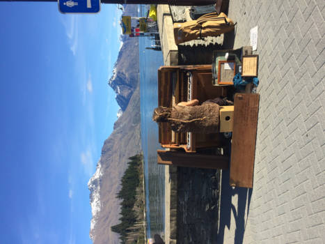 The Official Centre of New Zealand - Prachtig uitzicht in queenstown met live muziek