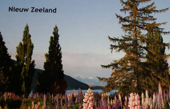 Lake Tekapo - Every day is a journey and the journey itself is home