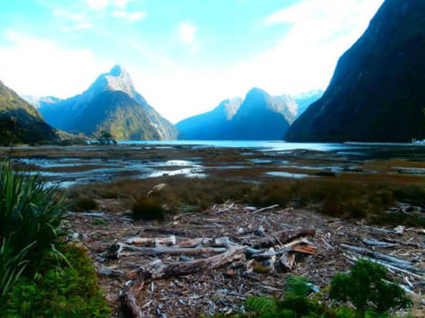 Museum of New Zealand - The sound of silence