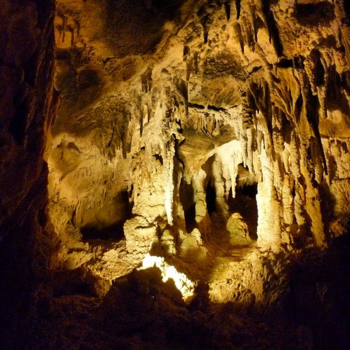 Noordereiland - Caves New Zealand North Island