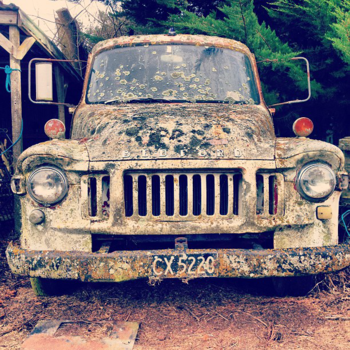 Christchurch - Spotted in Darfield near Christchurch, New Zealand