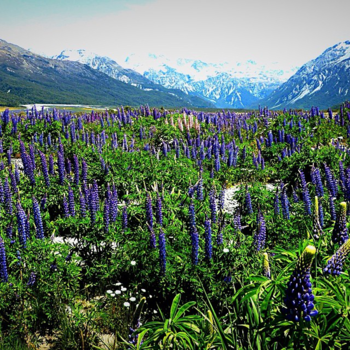 Zuidereiland - New Zealand South Island