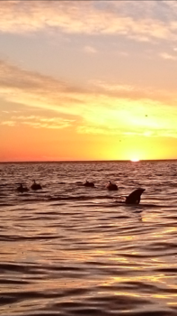 Kaikoura - Eerste zonnestralen van de wereld!