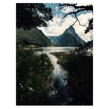 Milford Sound - Milford Sound's Postcard Office