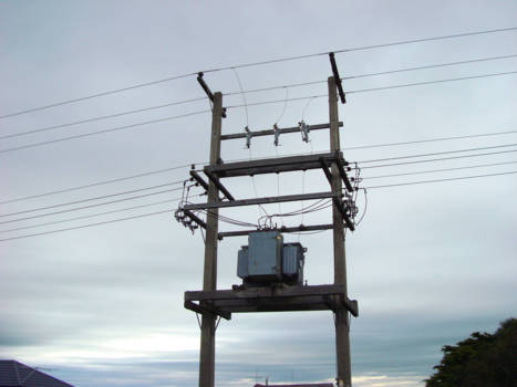 Zuidereiland - Nieuw Zeelanders staan niet zo gauw onder hoge spanning