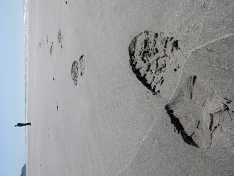 Farewell Spit - A simple walk through New Zealand