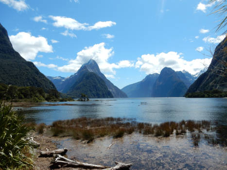 Milford Sound - peaceful new zealand