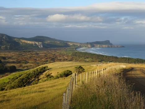 Zuidereiland - Otago Peninsula, Nieuw Zeeland