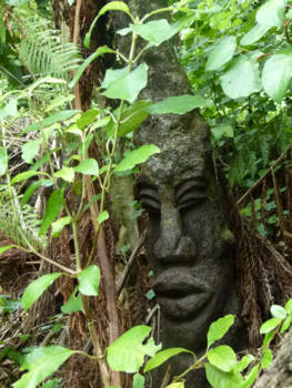 Zuidereiland - Verscholen in het bos