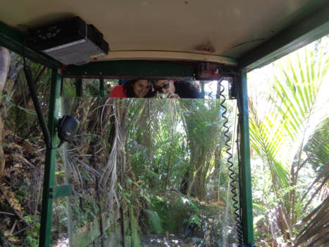 Coromandel Peninsula - Driving Creek railway